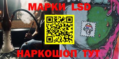 сатива Новокубанск