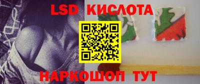 сатива Новокубанск