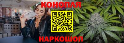 сатива Новокубанск