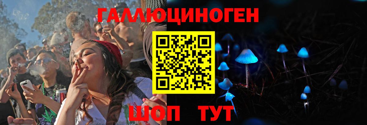 Галлюциногенные грибы Cubensis  Вход с VPN  Спасск-Дальний 